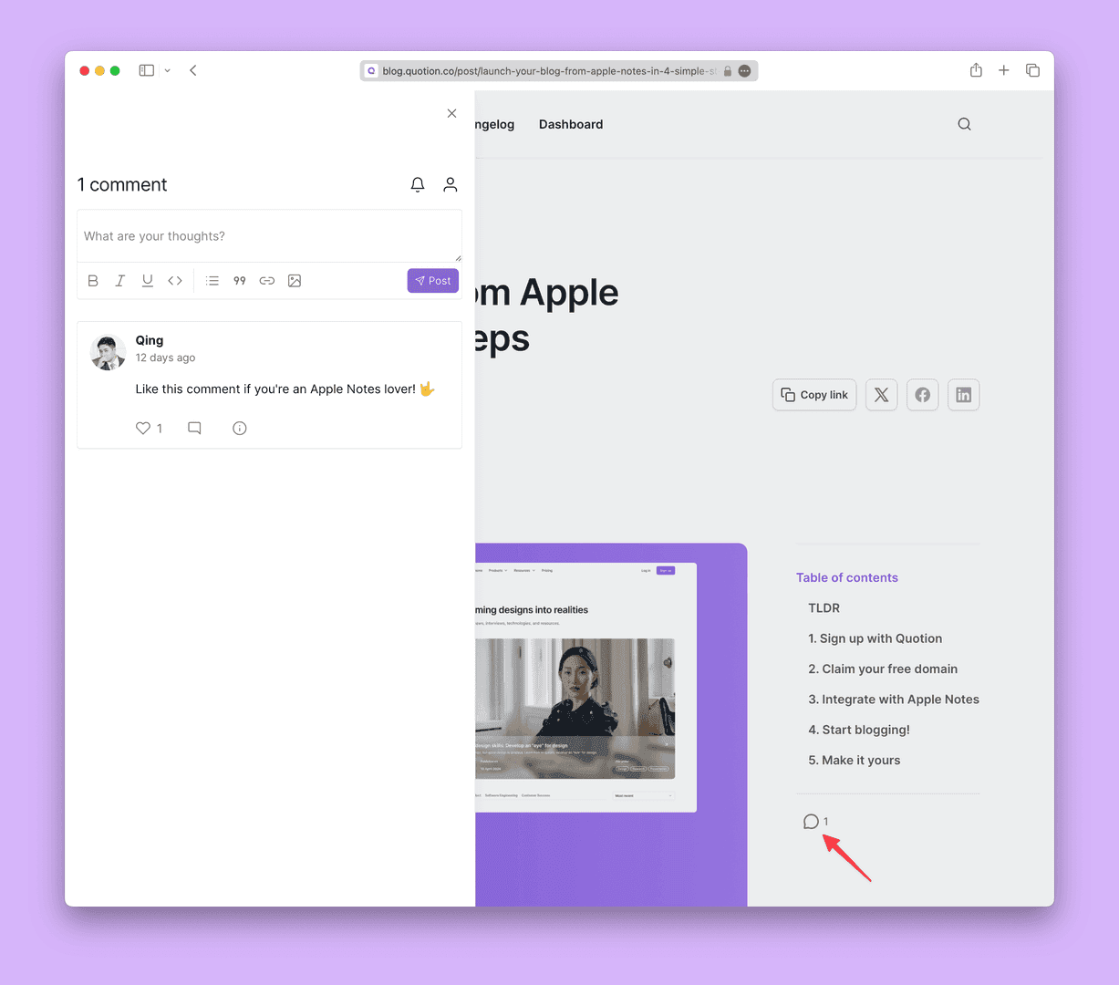Comment widgets